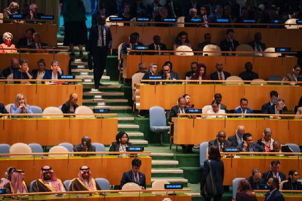 UAE Delegation at Two-State Solution Conference