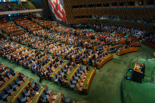 UAE Delegation at Two-State Solution Conference