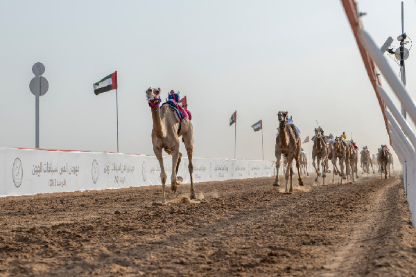 Hazza bin Zayed at Lagaya Race Event