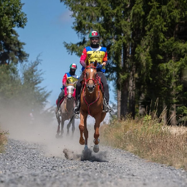 UAE's Endurance Sport Legacy and Achievements