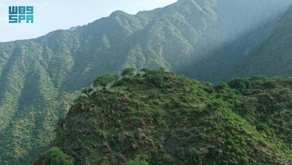 Rijal Almaa's Green Meadows Support Agriculture Rijal Almaa's Green Meadows Support Agriculture