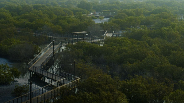 EAD Unveils AI Portal for Environmental Insights EAD Unveils AI Portal for Environmental Insights