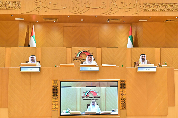 FNC Elects Observers and Forms Committees