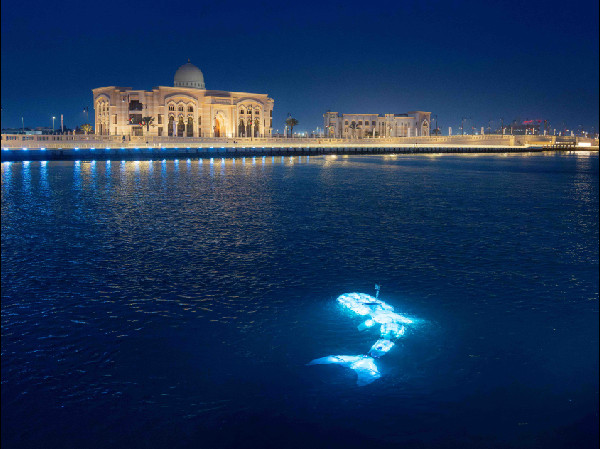 UAE 2025 Infrastructure Growth