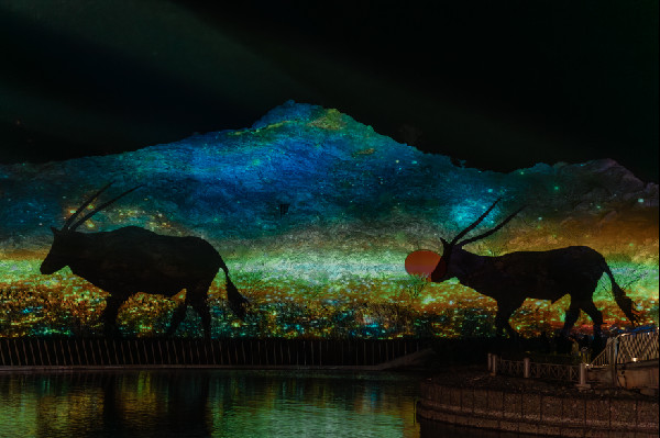 Hatta Winter Festival Draws Thousands