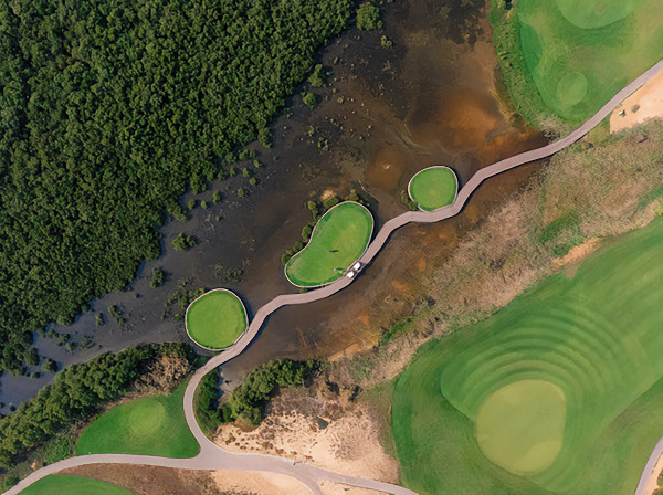 UAE National Day Highlights Sustainability and AI