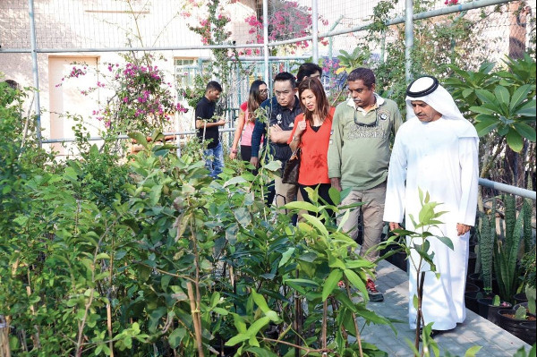 UAE Citizen Farms Drive Sustainable Tourism