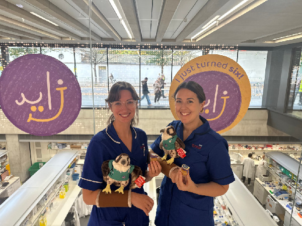 Zayed Centre Marks Six Years of Progress