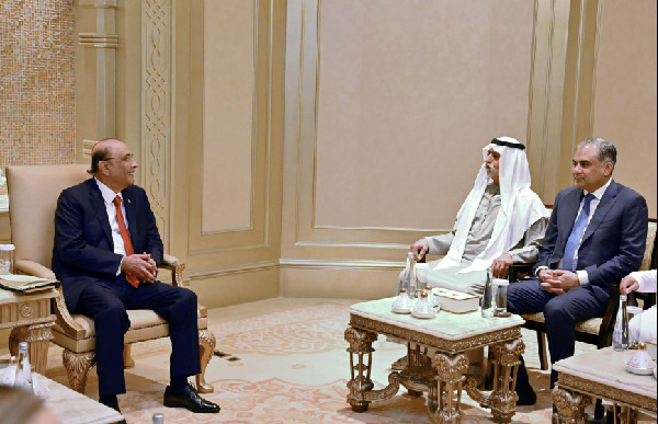 UAE Pakistan ties grow after Zardari meeting