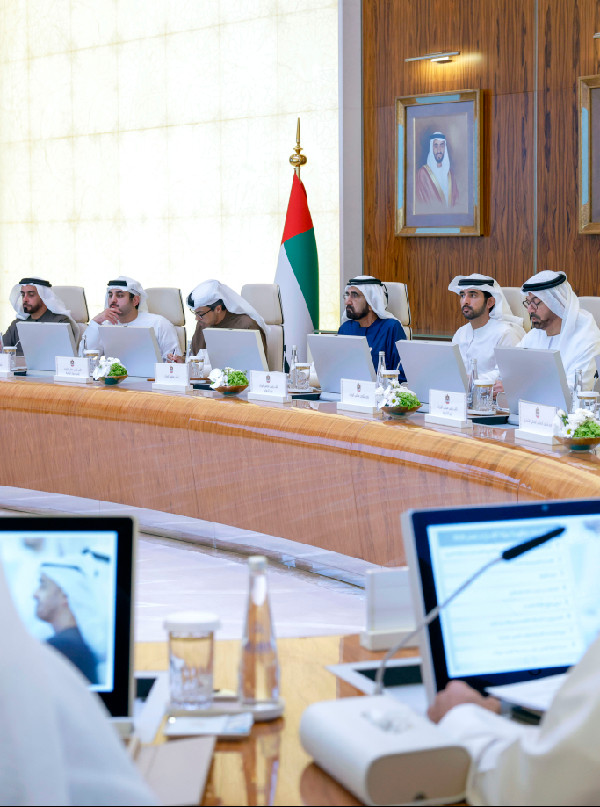 UAE Cabinet Twenty-Year Progress