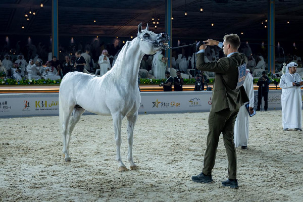 Ajman Championship closes with heritage celebration