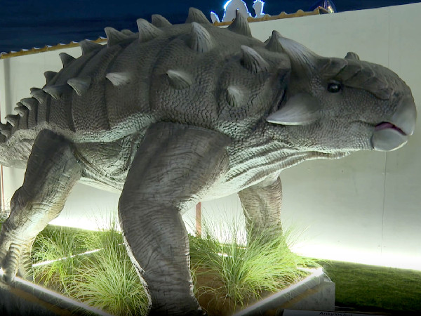 Livestock Festival Abu Dhabi Showcases Advances