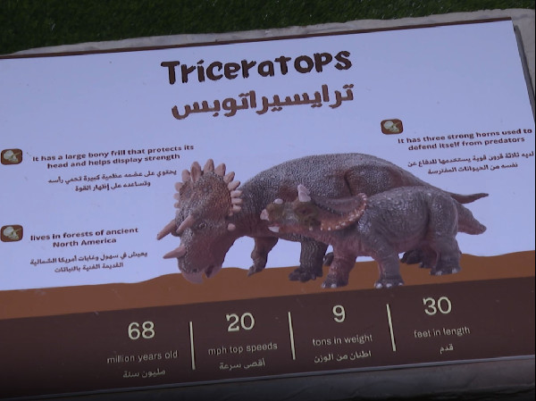 Livestock Festival Abu Dhabi Showcases Advances