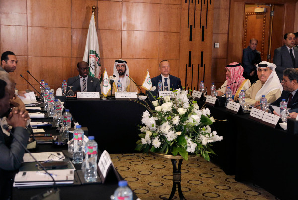 FNC Delegation in Cairo on Disability Rights