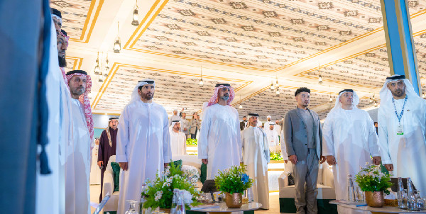 Ajman launches 23rd Arabian Horse Beauty Championship