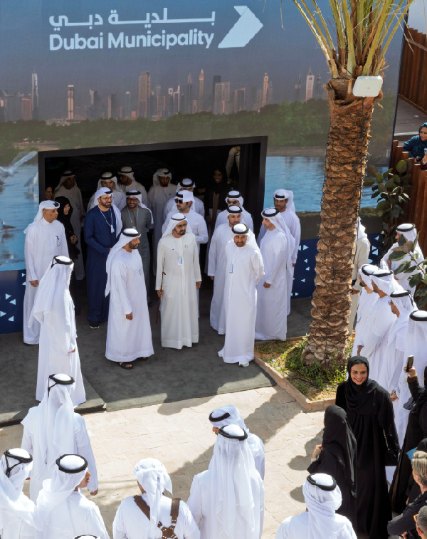 Blue and Green Spaces Roadmap 2030 at WGS