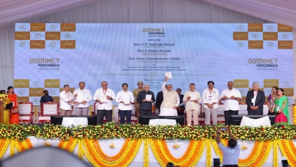 Non-GMO Popcorn Seeds: India's Farming Revolution Begins Now! Non-GMO Popcorn Seeds: India's Farming Revolution Begins Now!